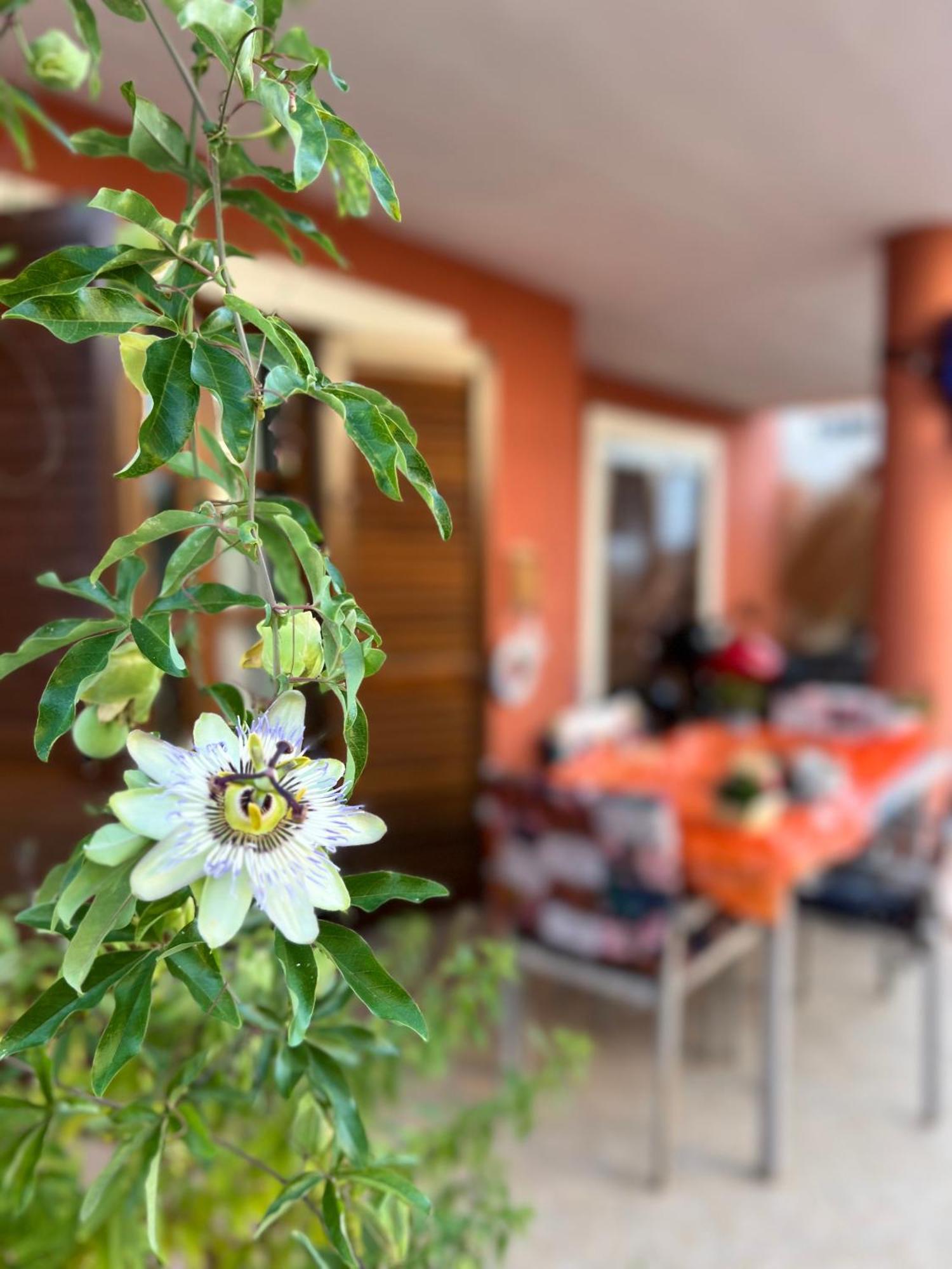 Holiday home Bella Pescara